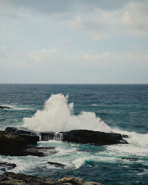 DSC_0625_1200x630.jpg?v=1702632280